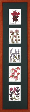 Vermont herb garden composition giclee print in cherry stained frame